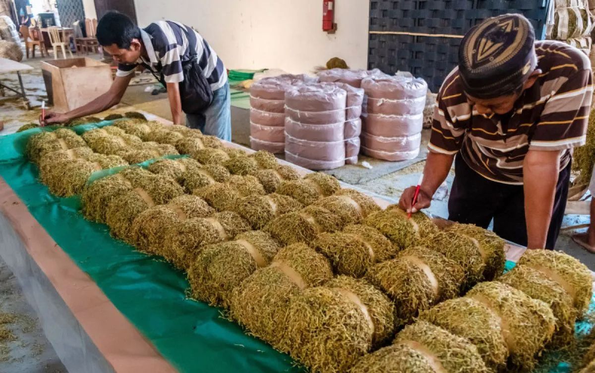 Ilustrasi. (SinPo.id/Antara)