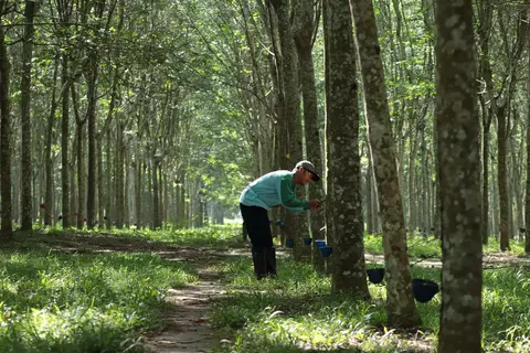 Ilustrasi. (SinPo.id/Istimewa)