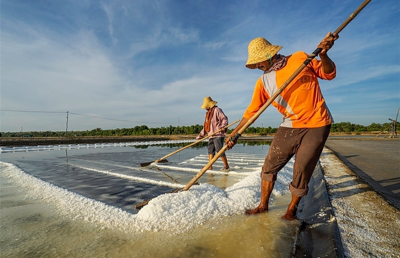 Ilustrasi para petani garam (SinPo.id/Wikipedia)