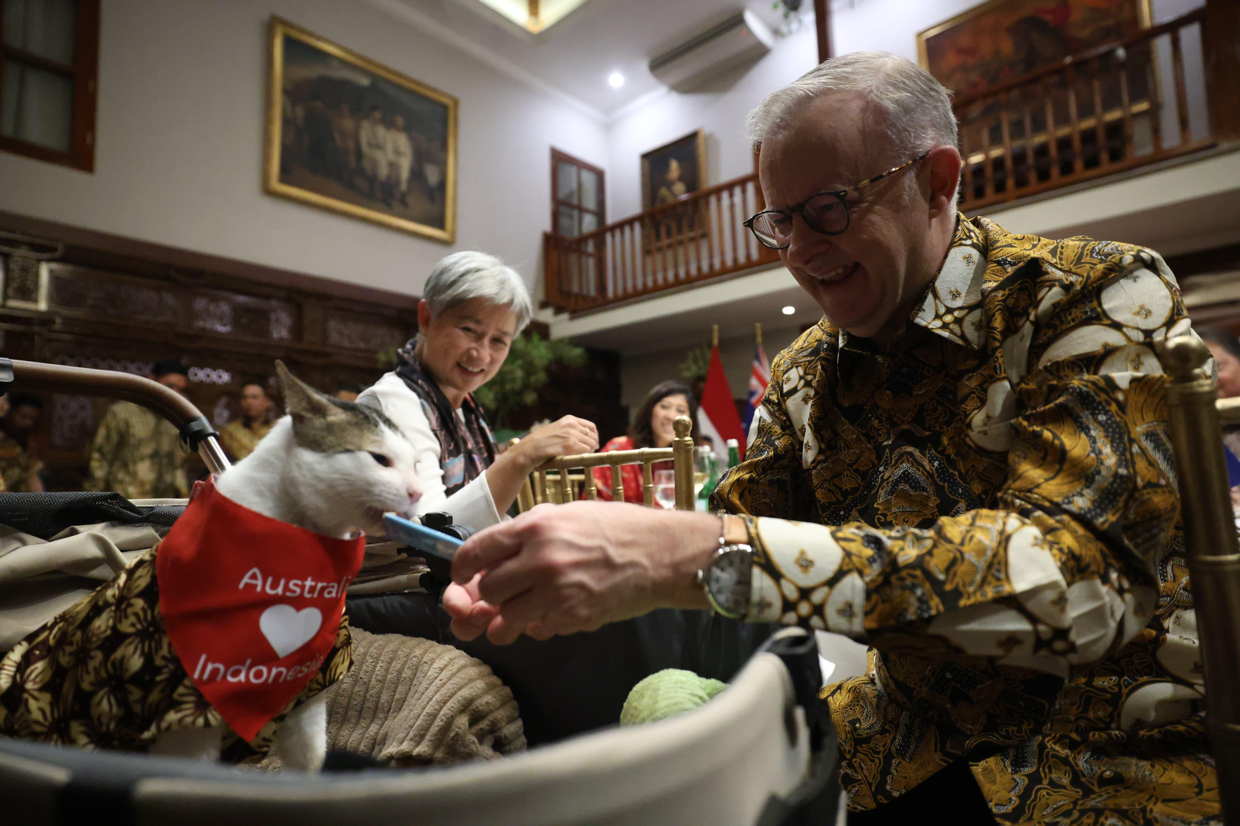 PM Australia Beri Kalung Syal untuk Bobby Kucing Prabowo (SinPo.id/Tim Media)