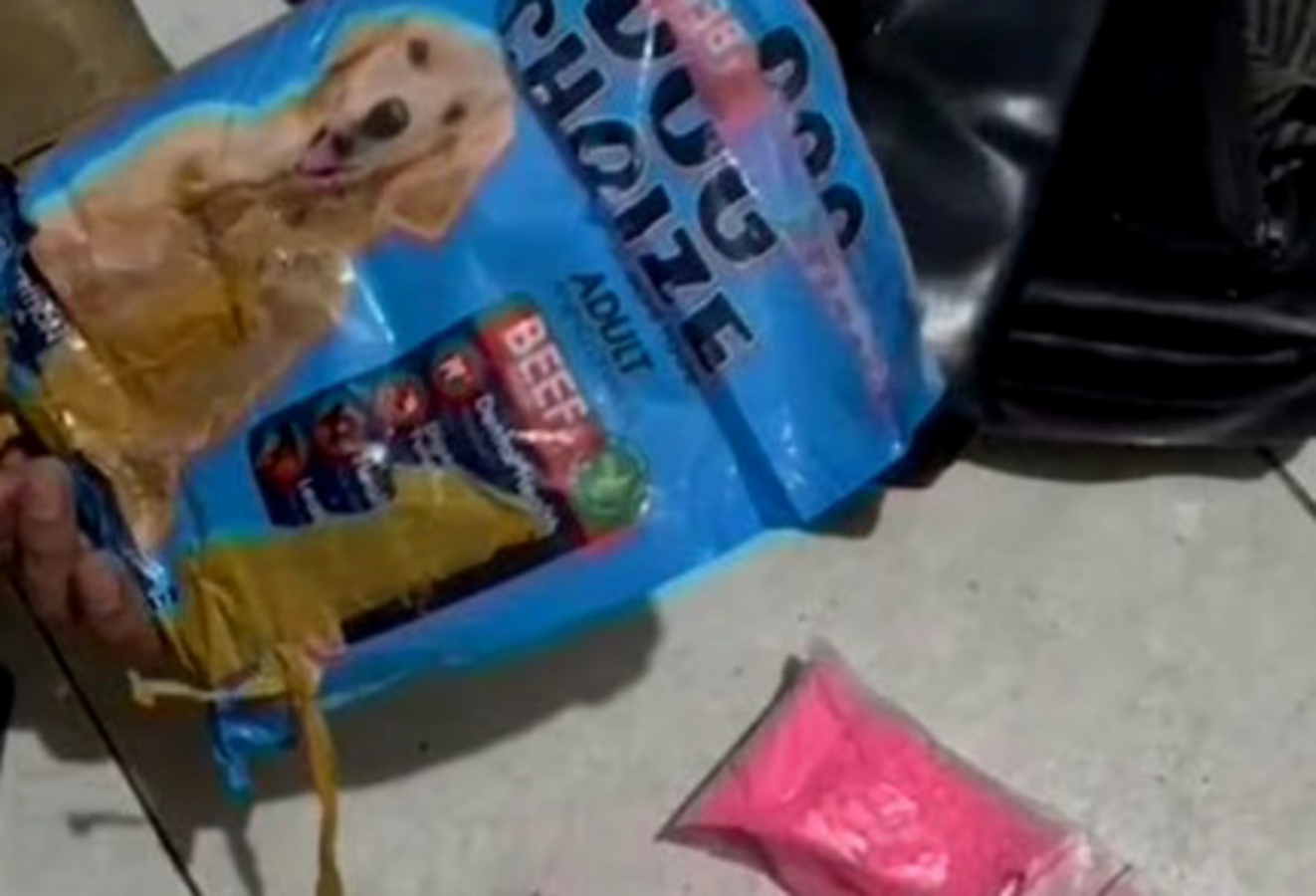 Ekstasi yang dikemas makanan anjing (SinPo.id/Dok.PMJ)