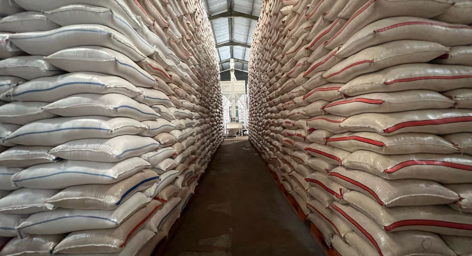 5. Hingga awal Mei, serapan beras nasional telah menembus 2 juta ton. (SinPo.id/Dok. Kementan)