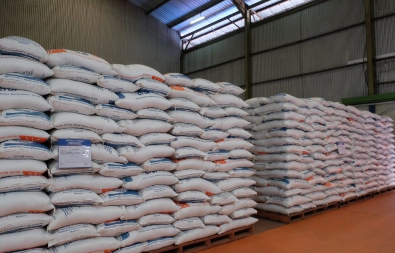 Ilustrasi stok beras yang disimpan di gudang Bulog (SinPo.id/ Ashar)