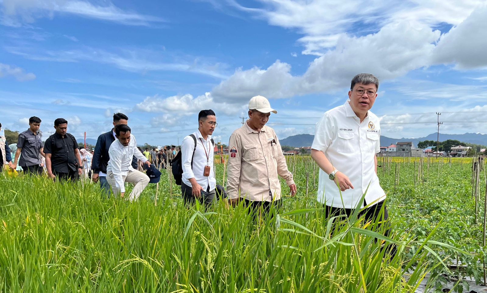 Komisi IV DPR RI meninjau program sawah pokok murah di Sumatra Barat. Istimewa