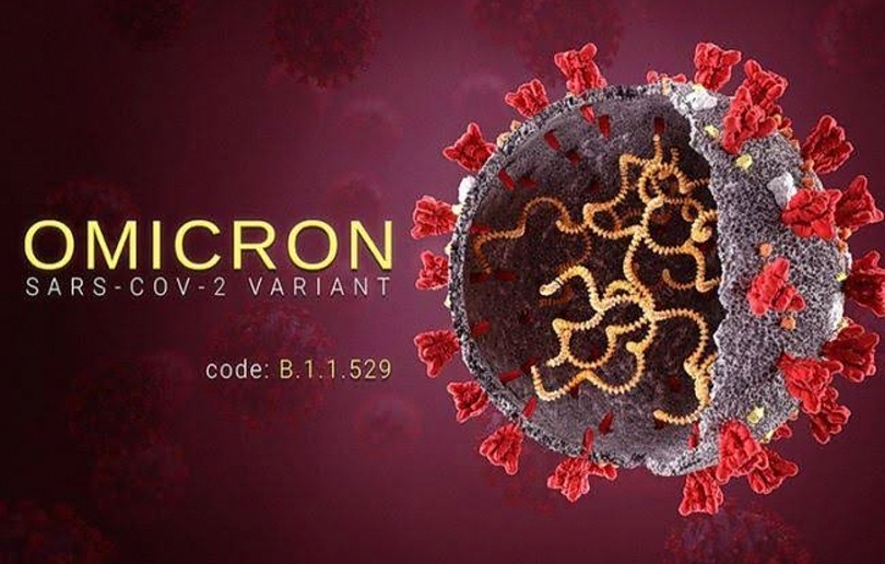 Ilustrasi varian virus Covid-19 (SinPo.id/ Pixabay)