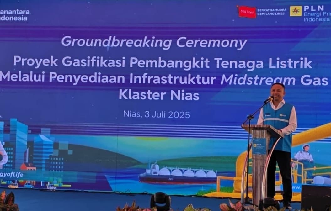 Direktur Manajemen Pembangkitan PT PLN Persero Rizal Calvary. (SinPo.id/dok. PLN)