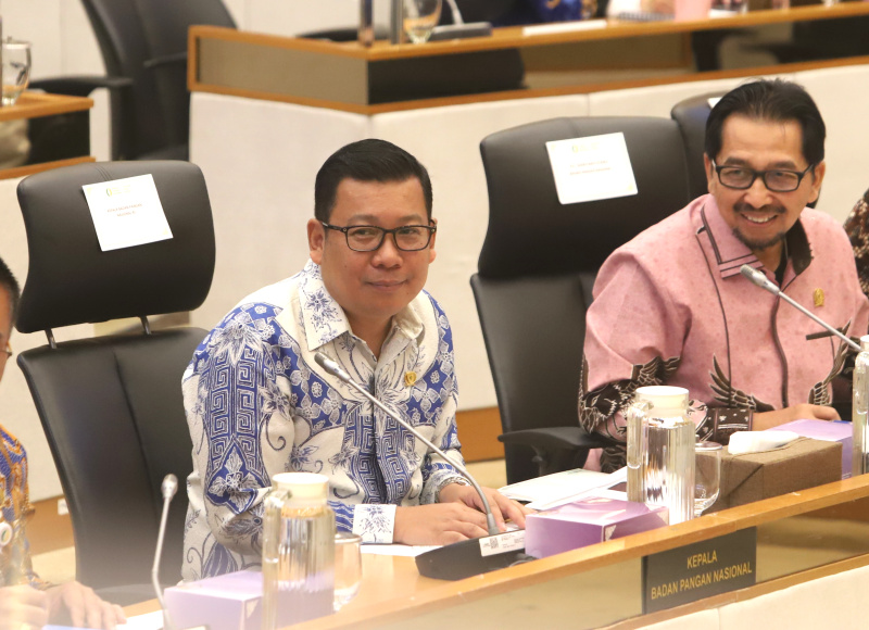 Komisi IV DPR gelar RDP dengan Kepala Badan Pangan Nasional Arief Prasetyo Adi membahas laporan keuangan APBN TA 2024 (Ashar/SinPo.id)