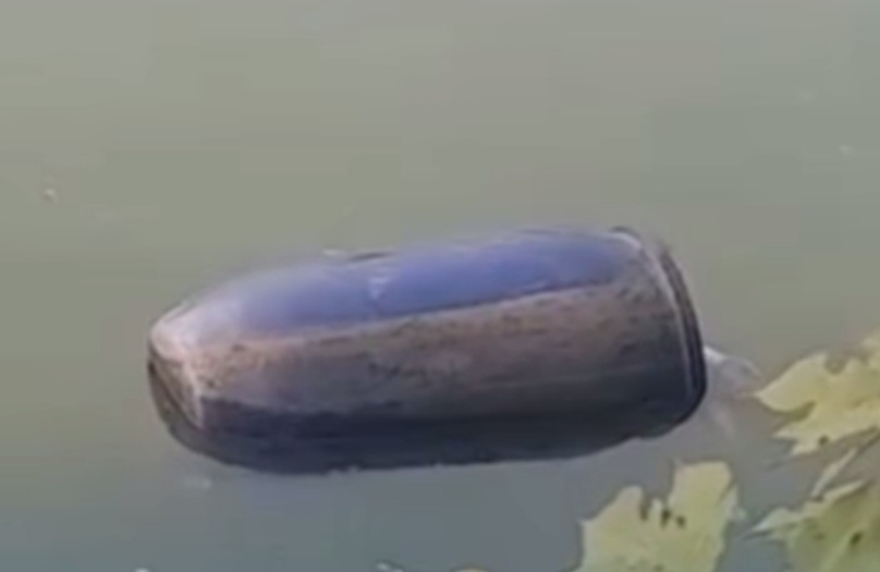 Mayat di dalam drum biru di sungai Cisadane (SinPo.id/Tangkapan layar)