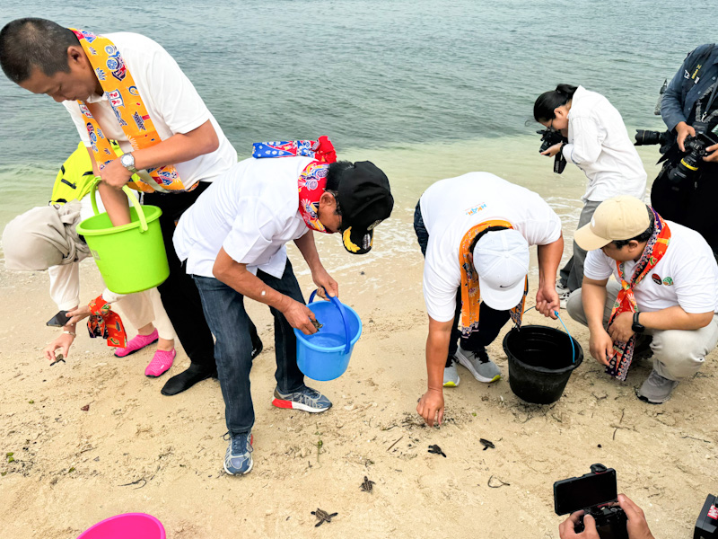 200 Tukik Penyu Sisik Dilepas di Perairan Pulau Bidadari (SinPo.id/Beritajakarta)