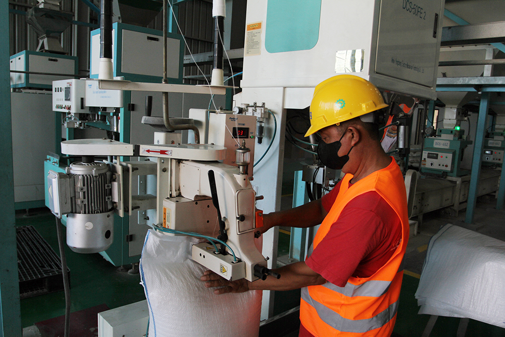 Ilustrasi penggilingan beras (SinPo.id/ Dok. BeritaNasional)