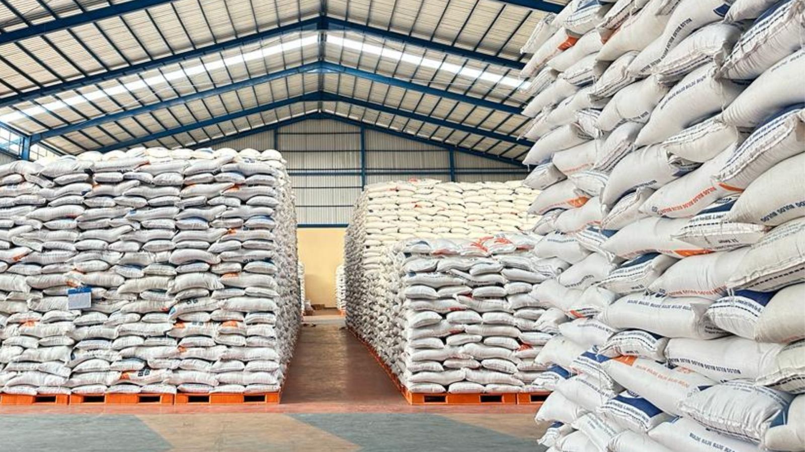 Ilustrasi. (SinPo.id/Dok. Bulog)