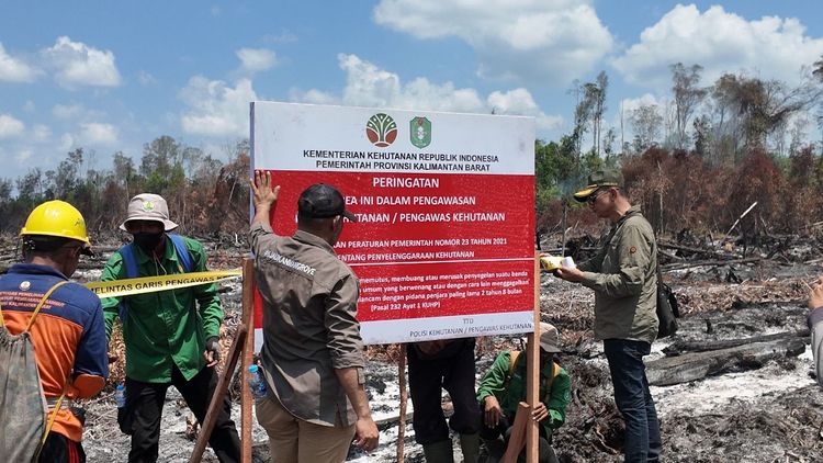 Kementerian Kehutanan