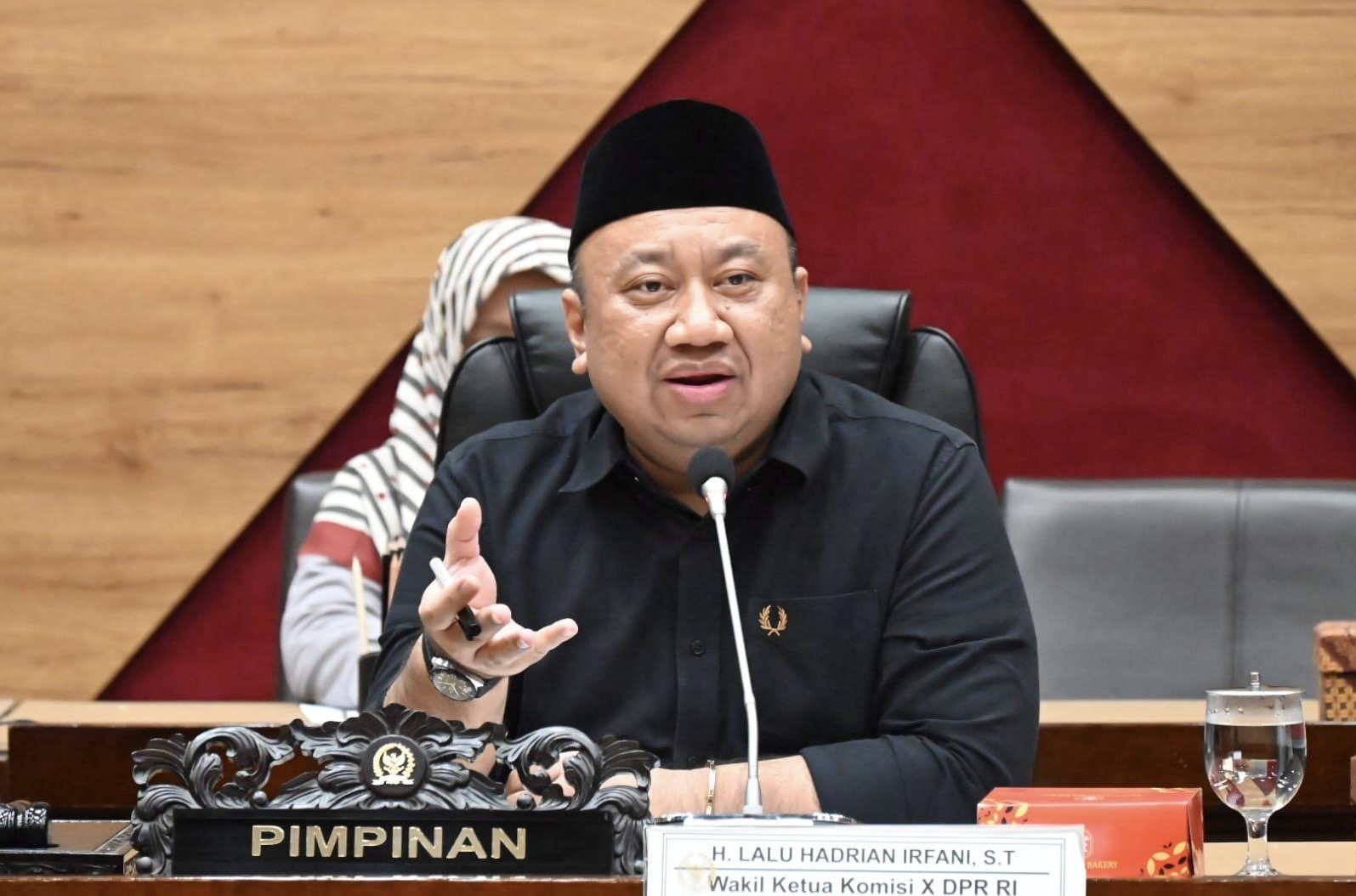 Wakil Ketua Komisi X DPR RI Lalu Hadrian Irfani. Istimewa