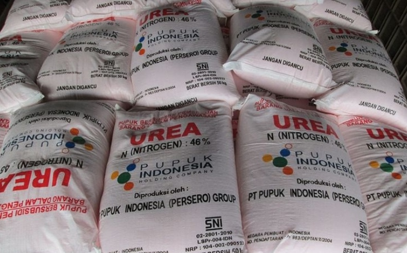 Ilustrasi stok pupuk bersubsidi di gudang. (SinPo.id/dok. Pupuk Indonesia)