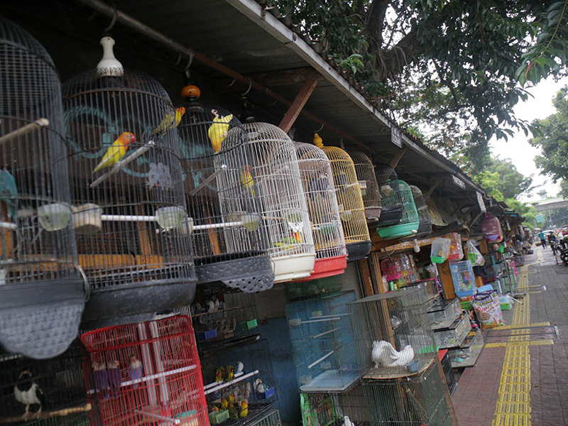 Pasar Barito, Jakarta Selatan. (SinPo.id/Berita Jakarta)