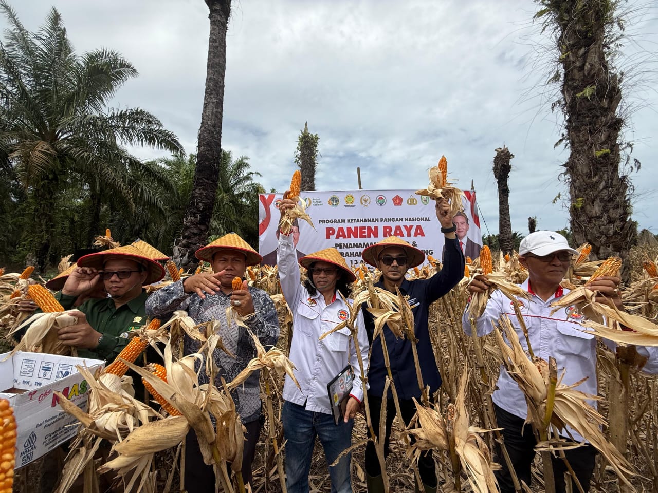 Tim PCO menghadiri Panen Raya Jagung Program Ketahanan Pangan di Bengkulu (SinPo.id/ Dok. PCO)