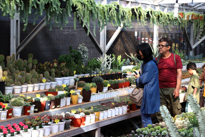 Festival flora dan fauna di Lapangan Banteng (SinPo.id/ Ashar)