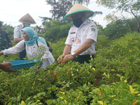 Ilustrasi pangan (SinPo.id/Freepik)