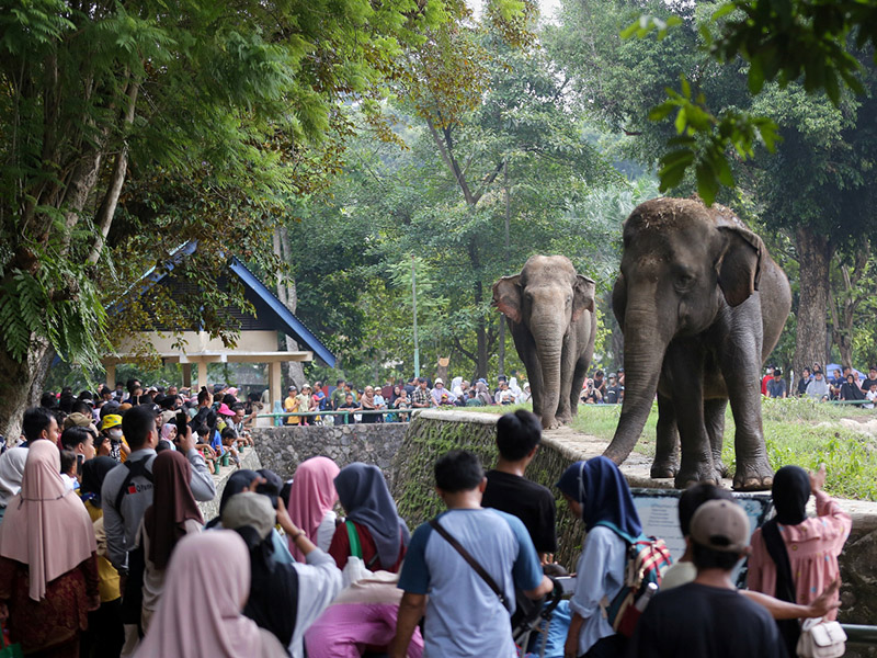 Tempat wisata TMS Ragunan (SinPo.id/Beritajakarta)