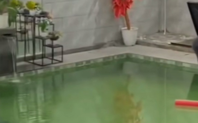 Kolam renang tempat siswa tewas tenggelam (SinPo.id/tangkapan layar)
