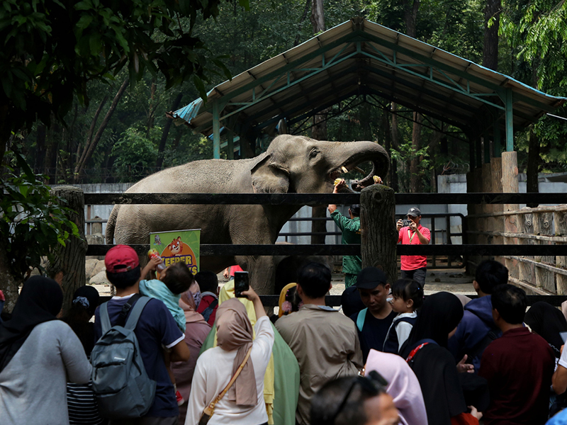 Taman Margasatwa Ragunan (SinPo.id/Beritajakarta)