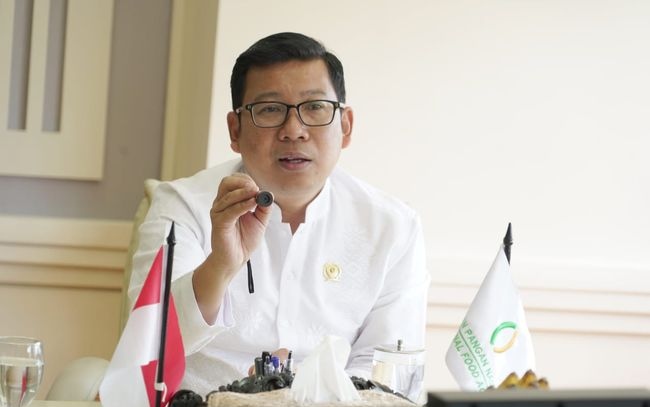 Kepala Bapanas Arief Prasetyo Adi (SinPo.id/dok. Bapanas)