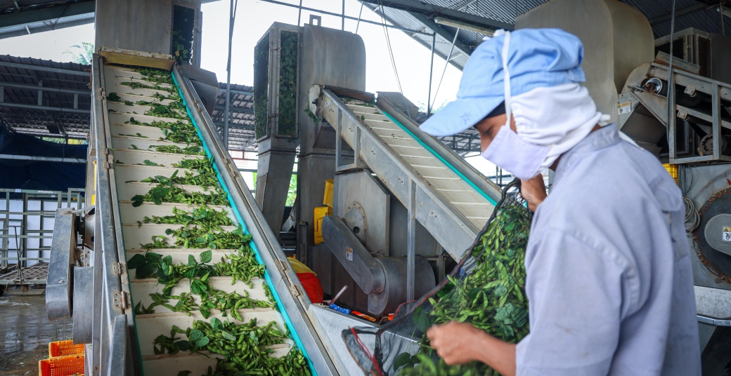 Ilustrasi pelaku UMKM menggunakan teknologi dalam proses produksinya (SinPo.id/ Dok. KemenUMKM)