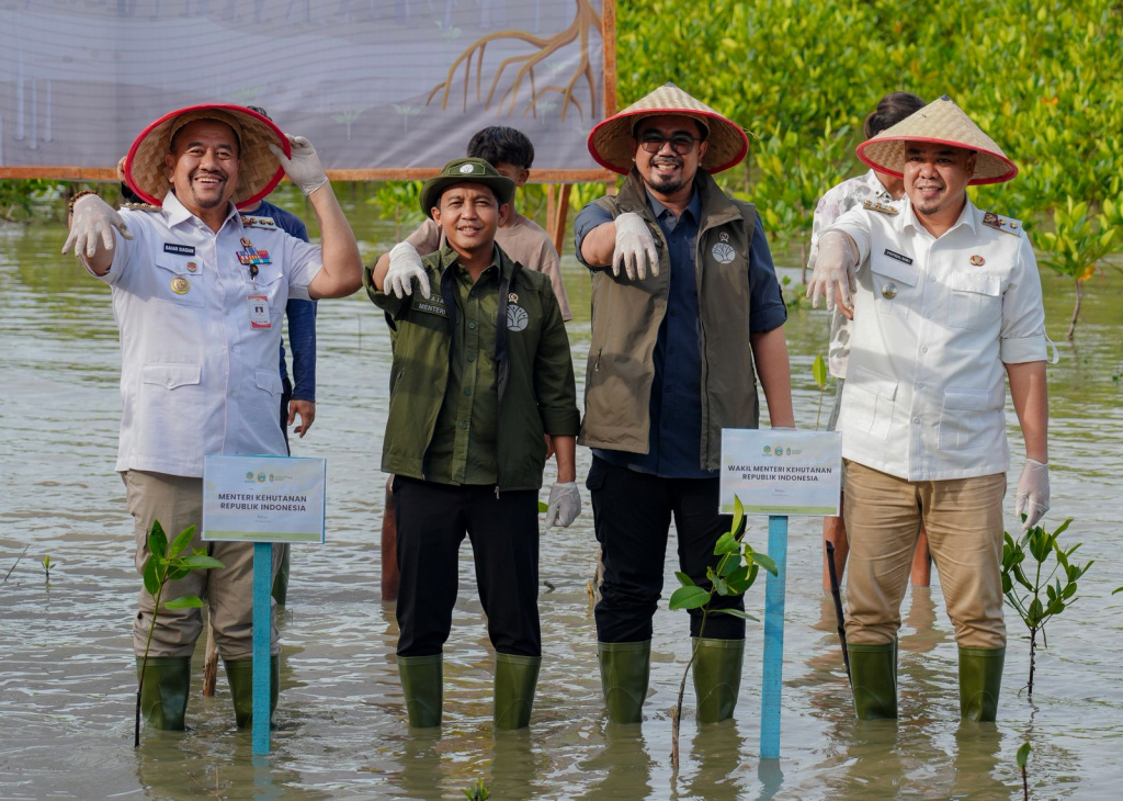Menhut Raja Juli Antoni melakukan penanaman Mangroves di Medan, Sumatera Utara (Ashar/SinPo.id)