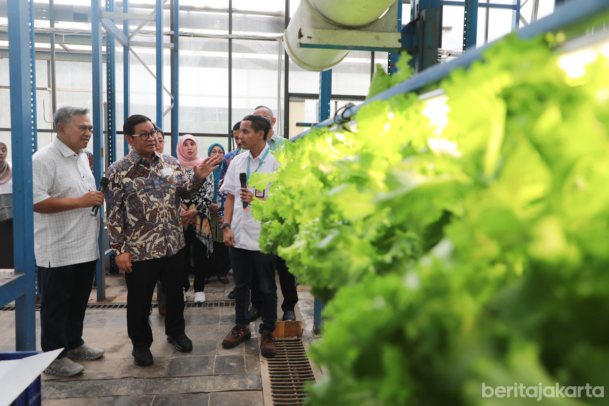 Gubernur DKI Jakarta, Pramono Anung melakukan peninjauan ke ‘Ladang Farm’ di Lebak Bulus (SinPo.id/Beritajakarta)