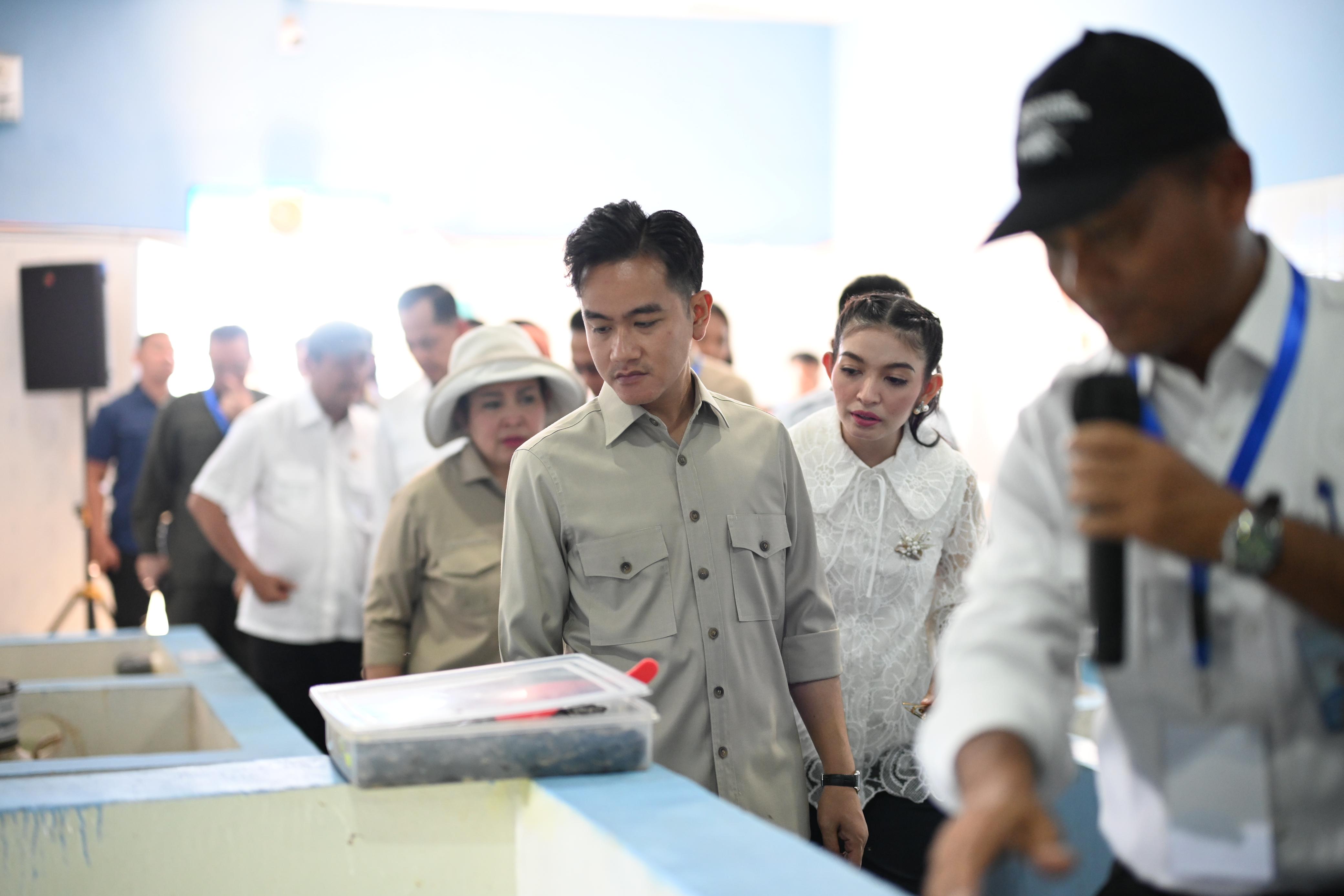 Wapres Gibran usai panen perdana lobster di BPBL Batam.(SinPo.id/Setwapres)