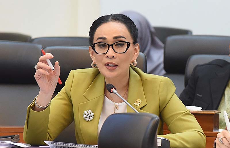 Anggota DPR RI dari Fraksi Partai NasDem Amelia Anggraini. Istimewa