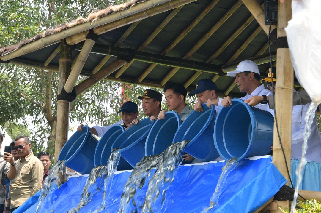 Wapres Gibran Rakabuming di acara pelepasan benih ikan (SinPo.id/ Setwapres)