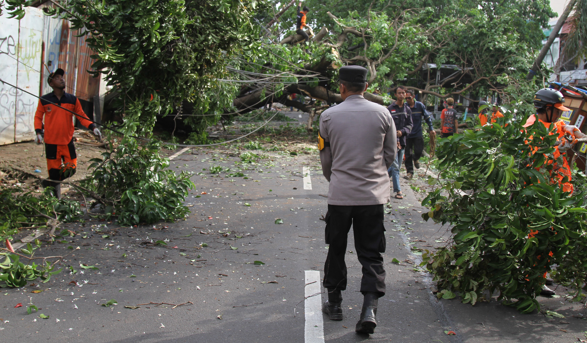 Pohon tumbang di Jombang Raya. (Agus Priatna/SinPo.id)