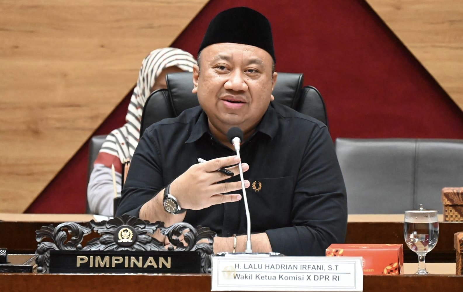 Wakil Ketua Komisi X DPR RI Lalu Hadrian Irfani. Istimewa