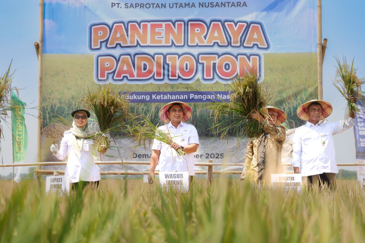Lomba panen padi 10 ton per hektare (Sinpo.id/Pemprov Jateng)