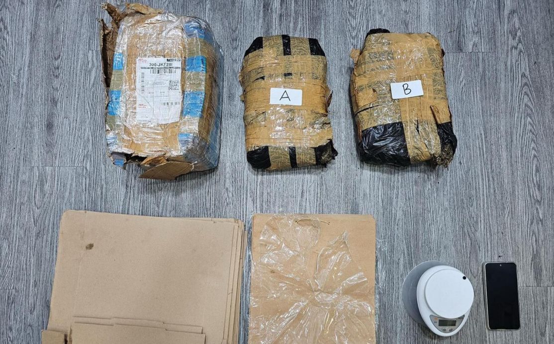 Barang bukti ganja yang disita (SinPo.id/Dok.PMJ)