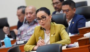 Anggota Komisi I DPR RI Amelia Anggraini. Istimewa
