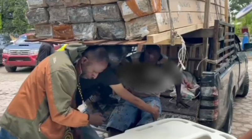 Korban penembakan KKB saat dievakuasi (SinPo.id/Dok.Polri)