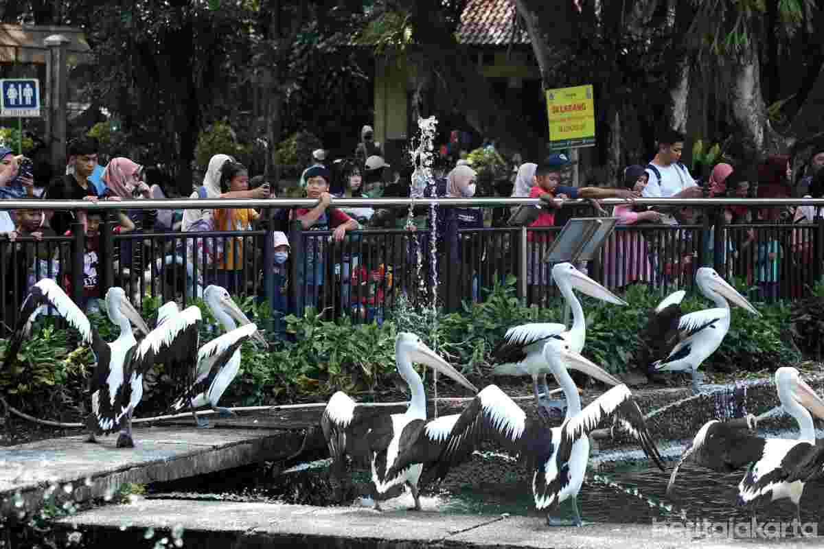 Taman Margasatwa Ragunan. (SinPo.id/Pemprov DKI Jakarta)