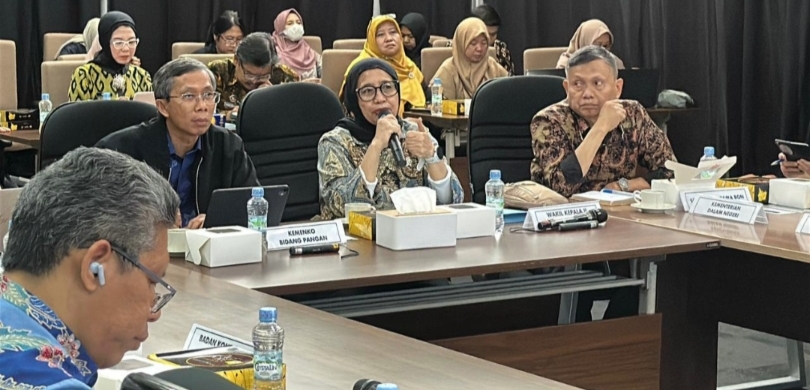 Wakil Kepala BGN Nanik S Deyang memimpin rapat tim koordinasi MBG (SinPo.id/ Dok. BGN)