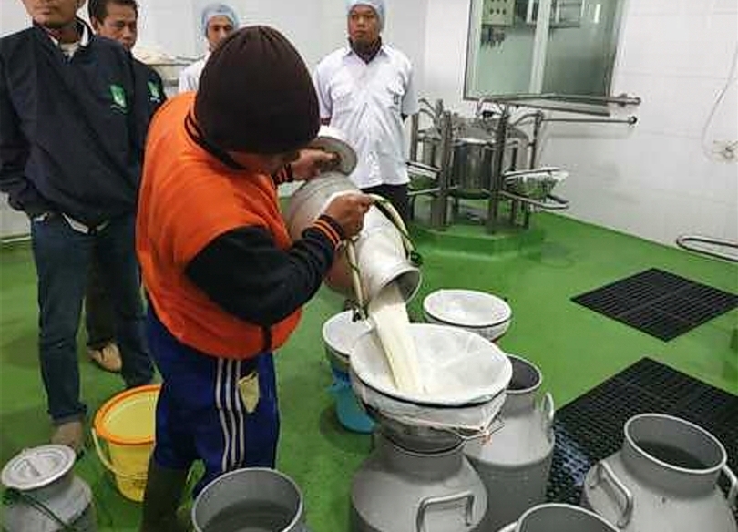 Peternak sapi perah sedang menyiapkan susu untuk dijual (SinPo.id/ Dok. PKH)