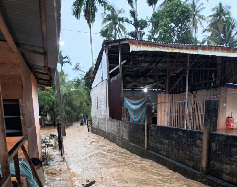 Bencana banjir di wilayah Sumatra (SinPo.id/ Dok. BNPB)