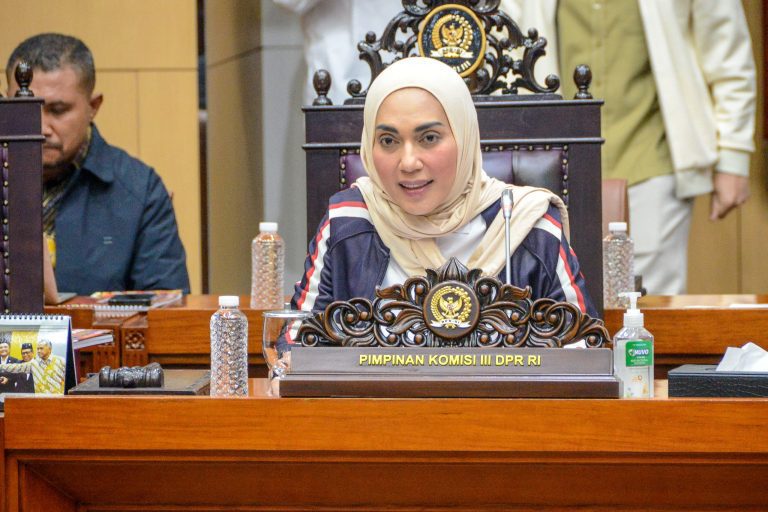 Wakil Ketua Komisi III DPR RI Sari Yuliati (SinPo.id/ eMedia DPR RI)