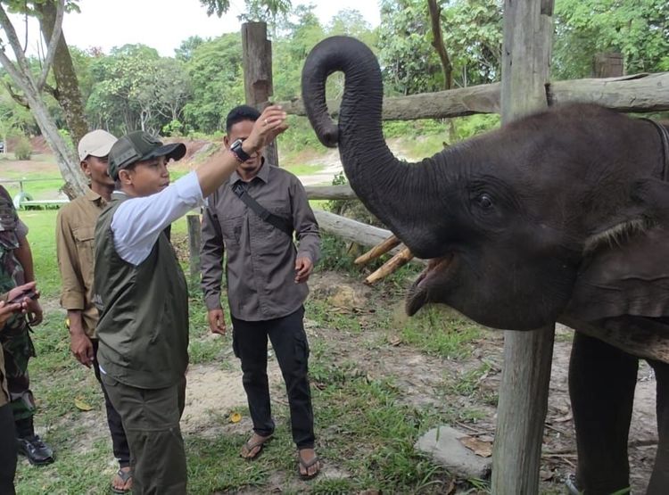 Menhut Raja Juli Antoni (SinPo.id/ Dok. Kemenhut)