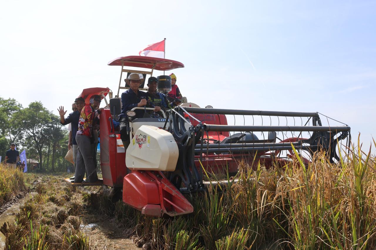 Panen Padi Hasil Budidaya Mandiri, BULOG Terapkan Smart Farming di Karawang (SinPo.id/BULOG)