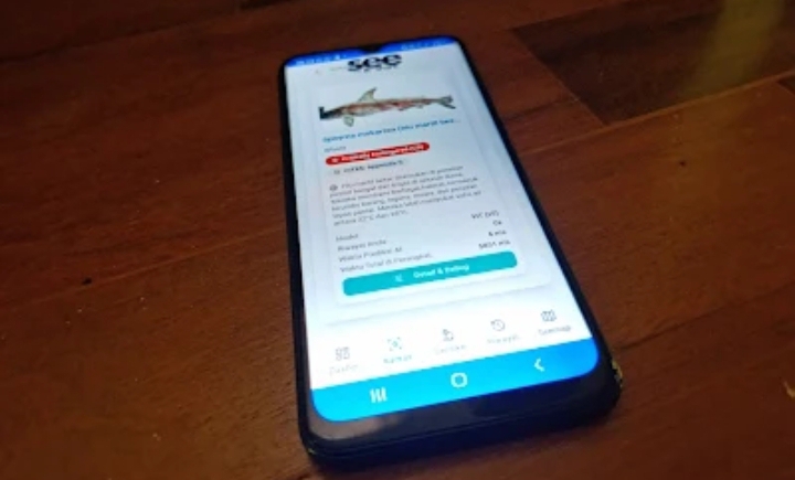 Aplikasi SeeShark (SinPo.id/ Dok. SeeShark)