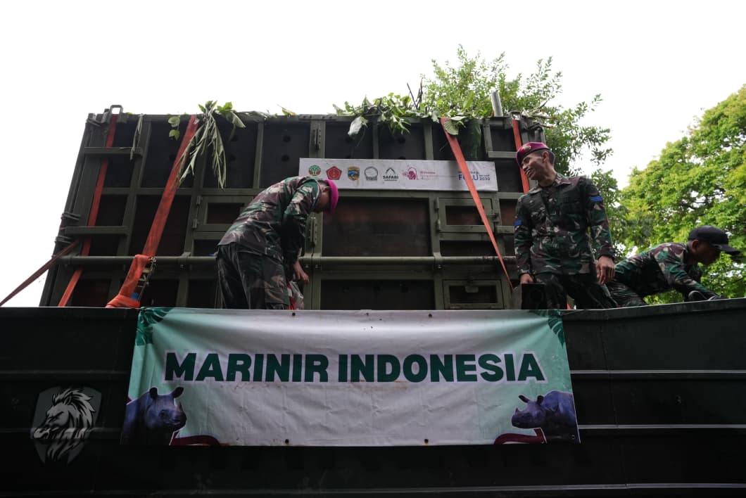 Operasi penyelamatan badak Jawa oleh TNI (SinPo.id/ Puspen TNI)