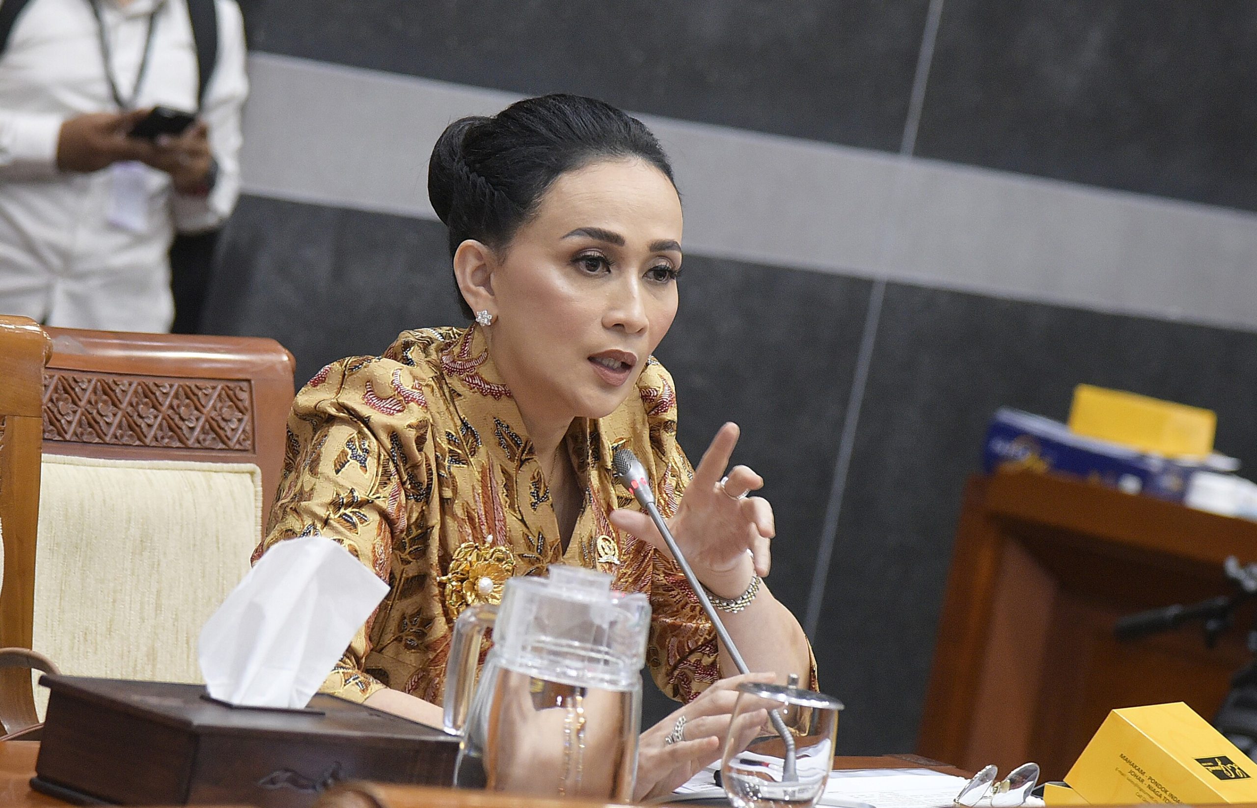 Anggota Komisi I DPR RI Amelia Anggraini. Istimewa