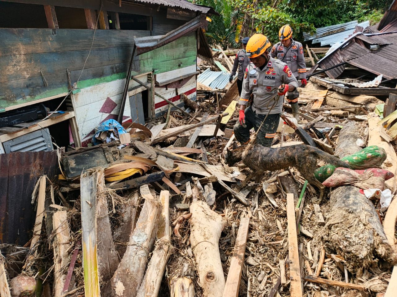 Tim gabungan Unit K9 SAR Mabes Polri di lokasi bencana Sumatra (SinPo.id/ Humas Polri)