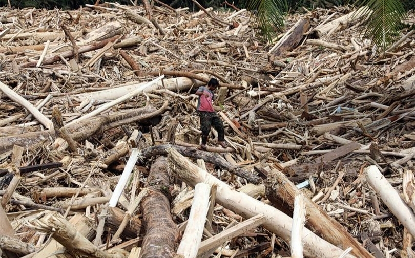 Ilustrasi anak kecil bermain di tumpukan kayu terbawa banjir. (SinPo.id/Antara)